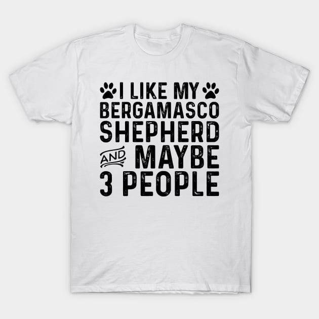 I Like My Bergamasco Shepherd And Maybe 3 People T-Shirt by Saimarts